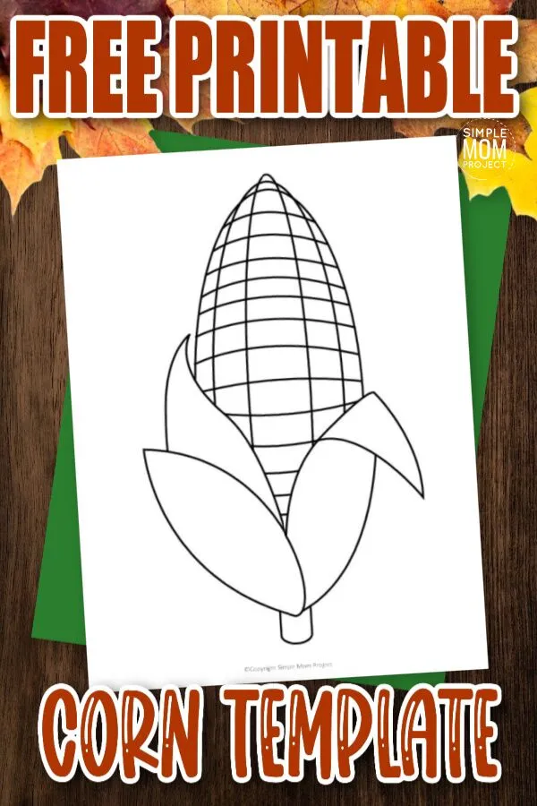 Are you excited for fall? We are! Especially for the sweet corn on the cob. Use this free printable corn template to turn this paper corn into a preschool coloring activity, a fun painting craft or a cute counting activity. This corn template is perfect for your fall themed unit studies.