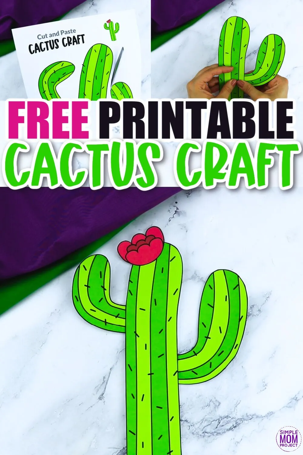 Are you looking for a fun, easy preschool paper cactus craft to do with your toddlers? These beautiful desert flowers are a cool and simple way to teach about flowers. Click now and download a free printable cactus craft template. Your preschooler, toddler and kindergarten students will love making this cactus craft.