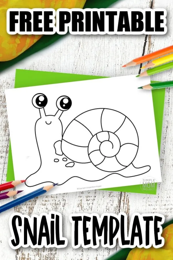 Are you looking for a cute printable snail template for your next preschool craft? This blank snail cut out template is an easy way to teach your kindergarten class about snails. Have your class decorate the snail shell with all different colors or use it for a fingerprint art project. Click now to download your free printable snail template today!