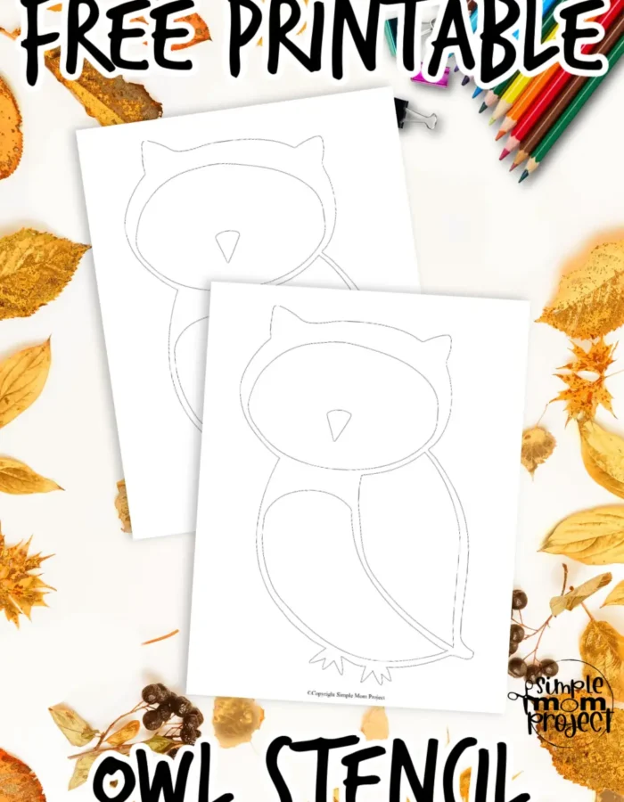 This printable owl stencil template is your secret weapon for creative and silly pumpkin carving! Who knew transforming pumpkins into cute owls could be so easy and engaging? Allow your children to be creative as they use this owl stencil to carve out huge smiles, grins, and wise owl eyes. Simply download, print, and you're good to go!