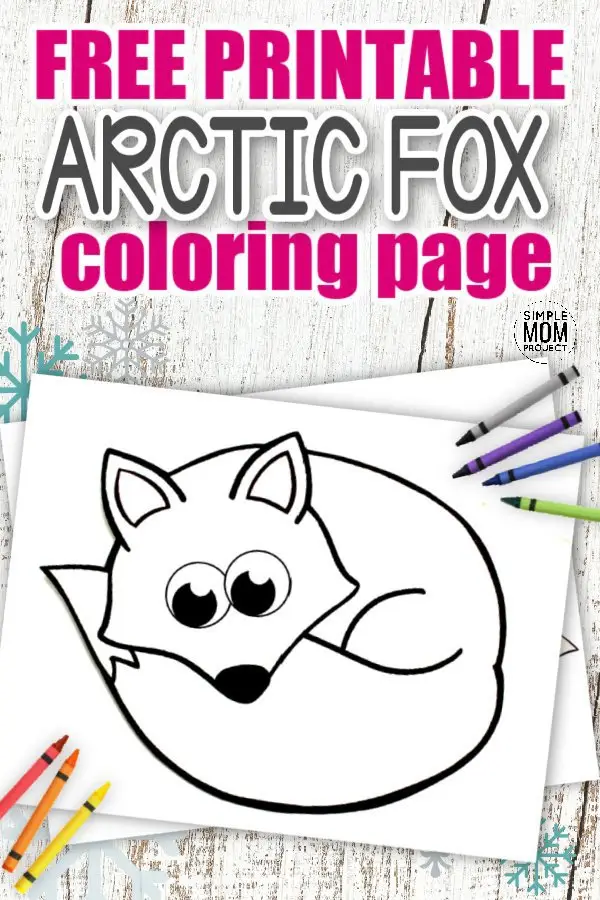 Are you looking for a cute & simple Baby Fox coloring page for your kids? Click now & grab your Free Printable Arctic Fox template. Amaze at the big bushy tail, the cheeky smile & the realistic button nose as you share the secrets your fox uses to sleep & survive all those cold winter nights. Such a cute & clever animal, the Arctic Fox coloring pages are ready for you to download with your kids today!#Foxcoloringpages #ArcticFoxcoloringpages #Arcticanimalcoloringpages #SimpleMomProject