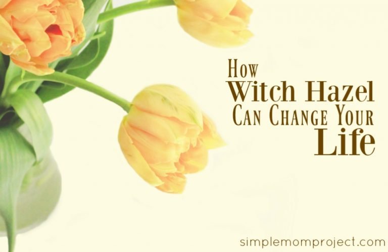 8 AMAZING benefits, natural remedies and uses for witch hazel | Find out how it can be used for skin care, cleaning, razor burn, eczema and so much more...