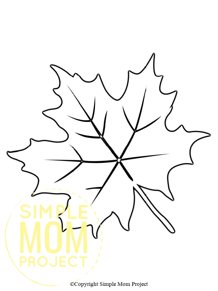 simple leaf template