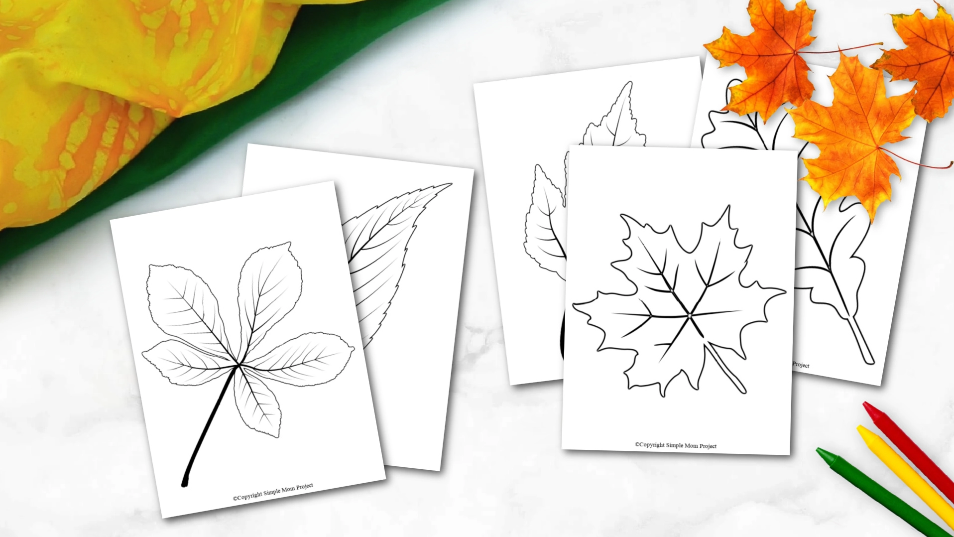 fall leaf templates printable free