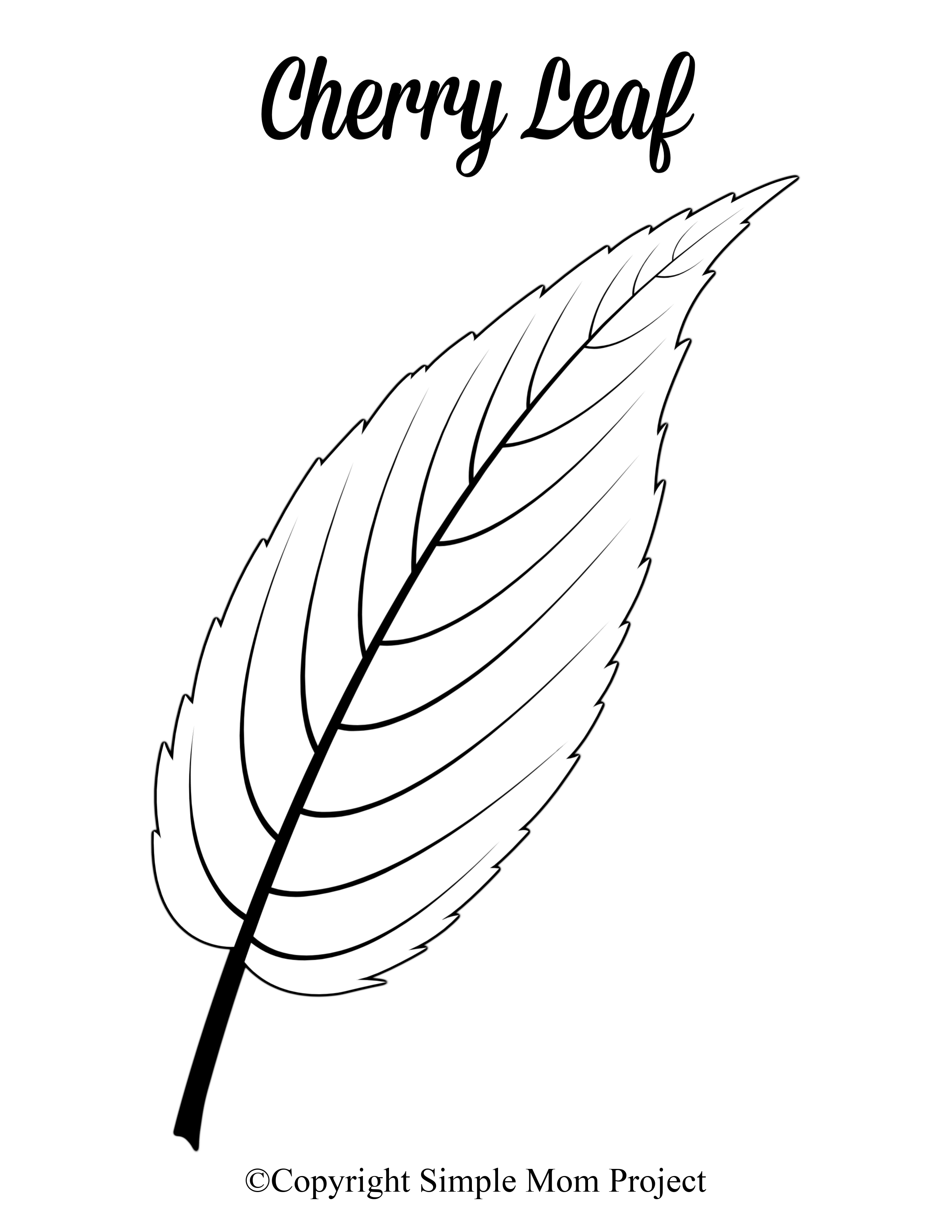Free Printable Large Leaf Templates Stencils And Patterns Simple Mom