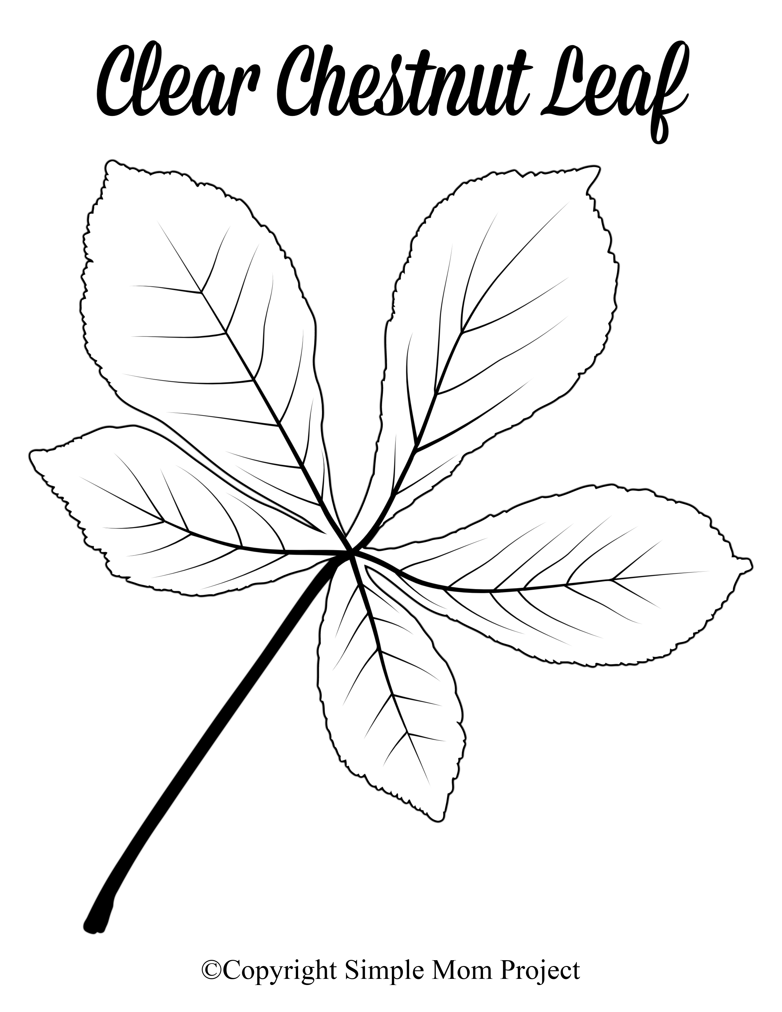 Free Printable Large Leaf Templates Stencils And Patterns