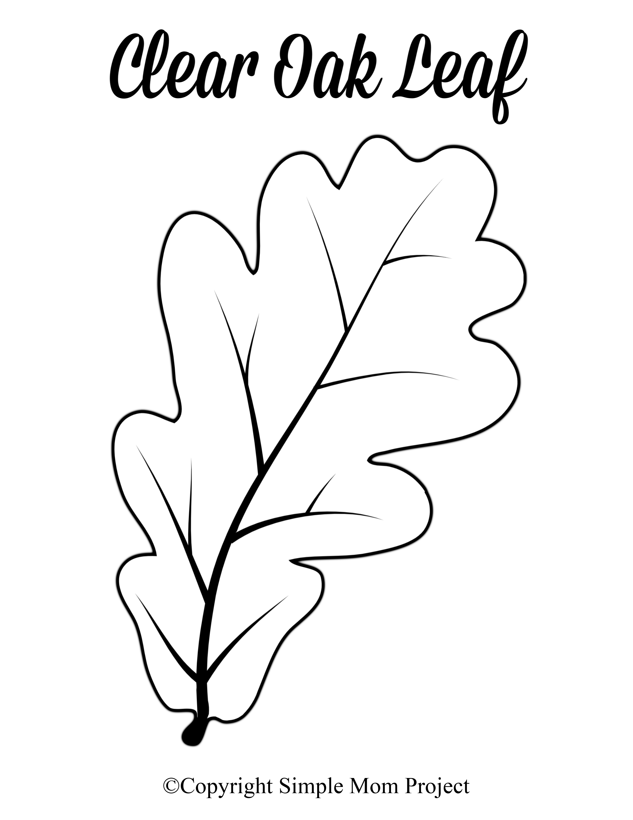 simple oak leaf outline