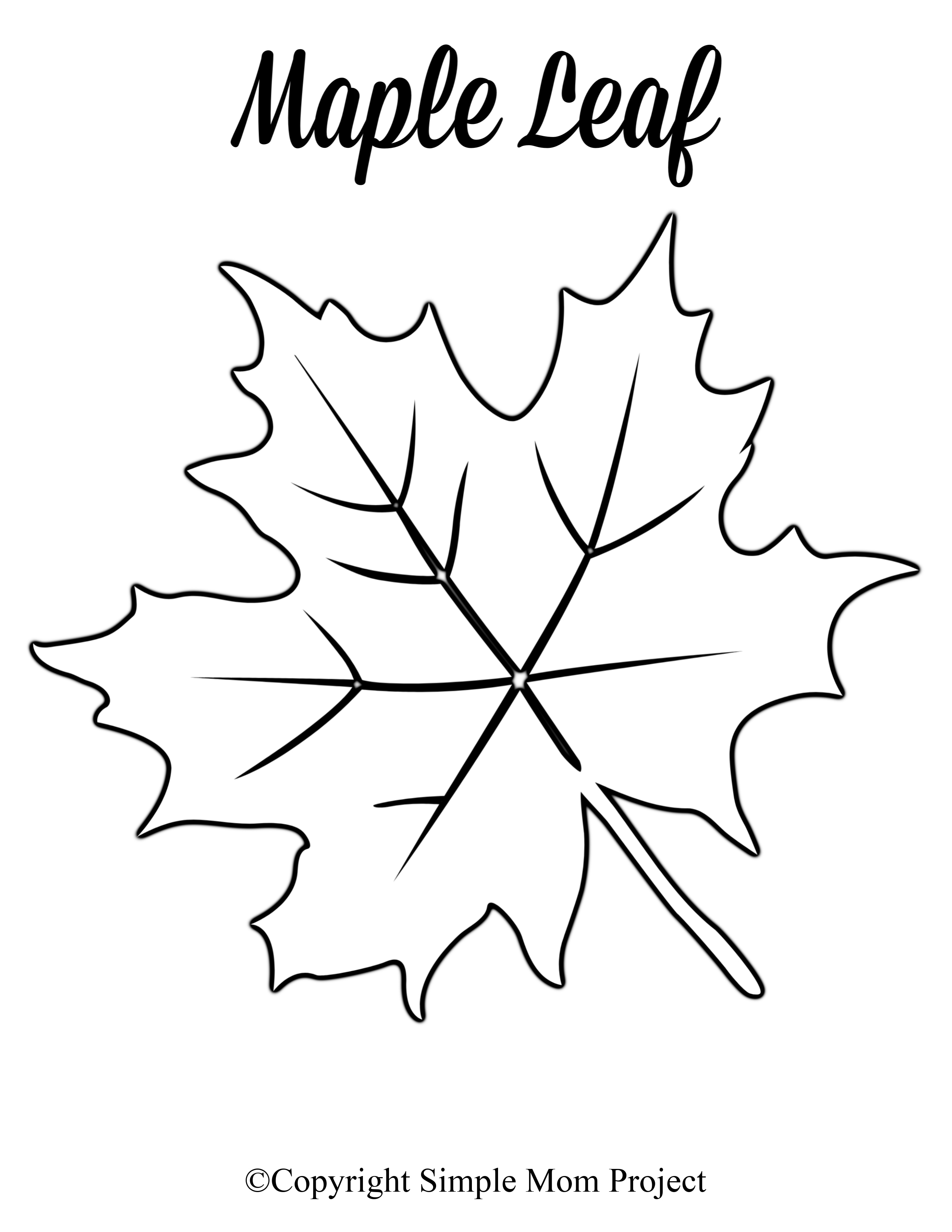 Large Fall Leaf Template