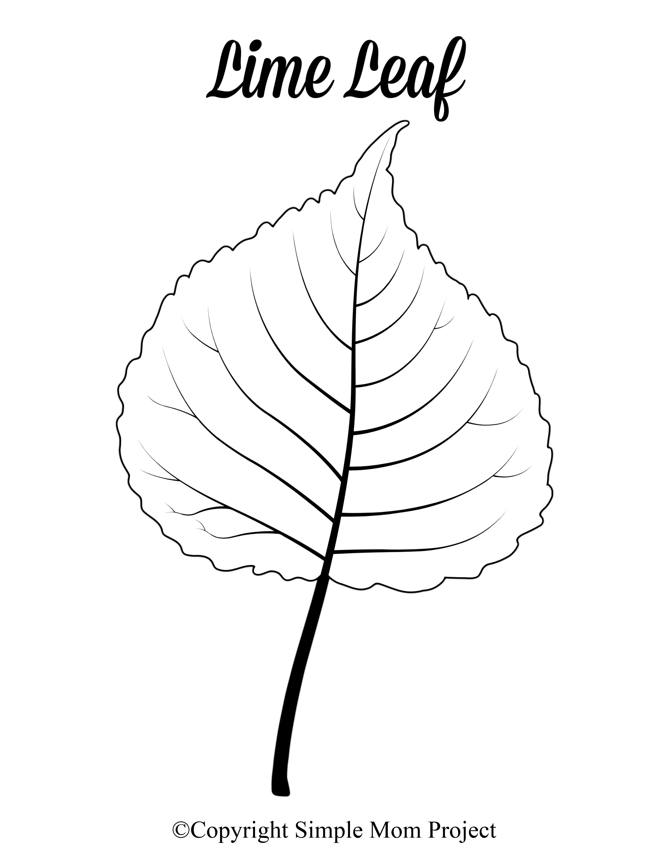 Free Printable Large Leaf Templates, Stencils and Patterns – Simple Mom ...