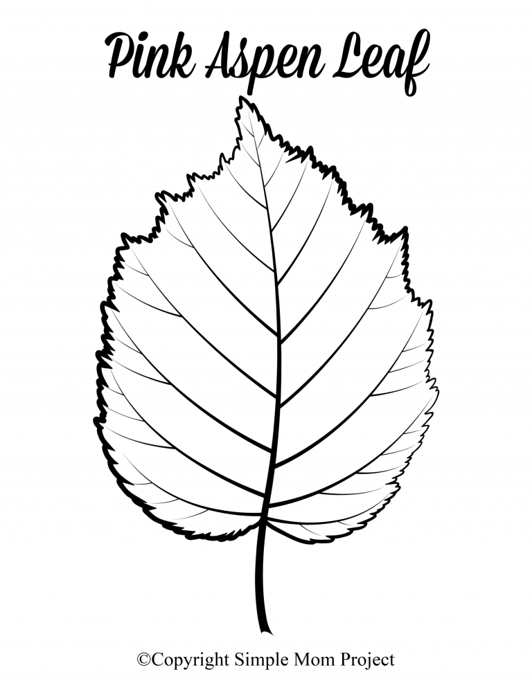 Free Printable Large Leaf Templates, Stencils and Patterns – Simple Mom ...