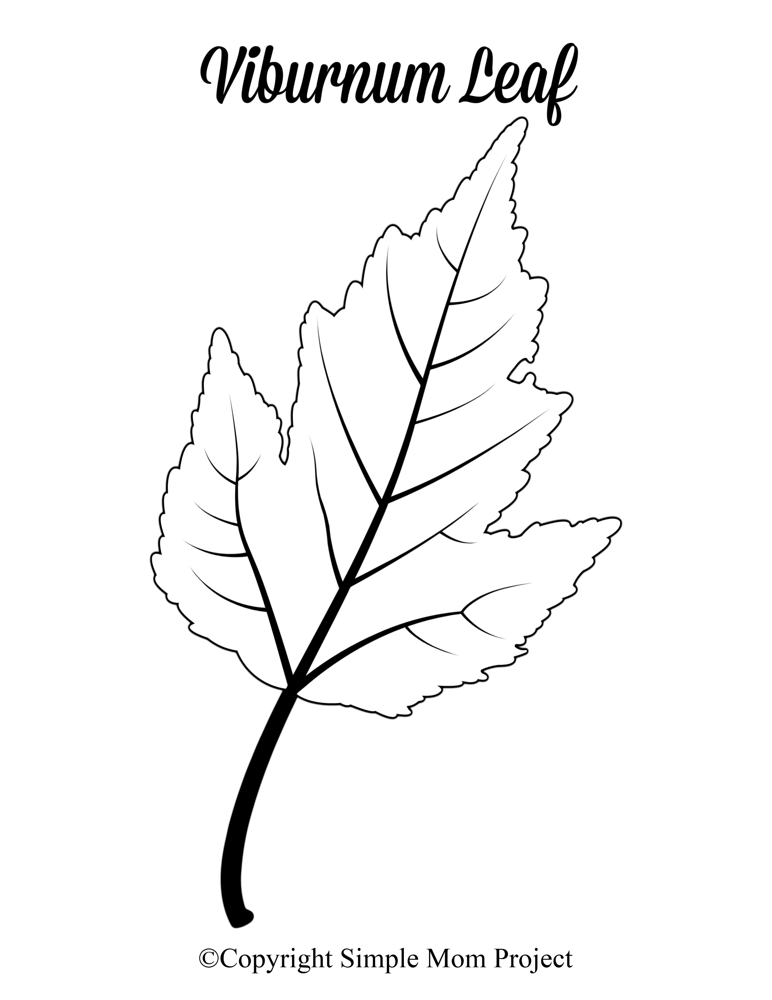 Large Leaf Template Printable from simplemomproject.com