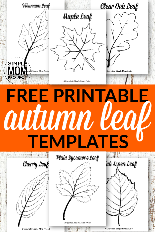 Free Printable Large Leaf Templates Stencils And Patterns