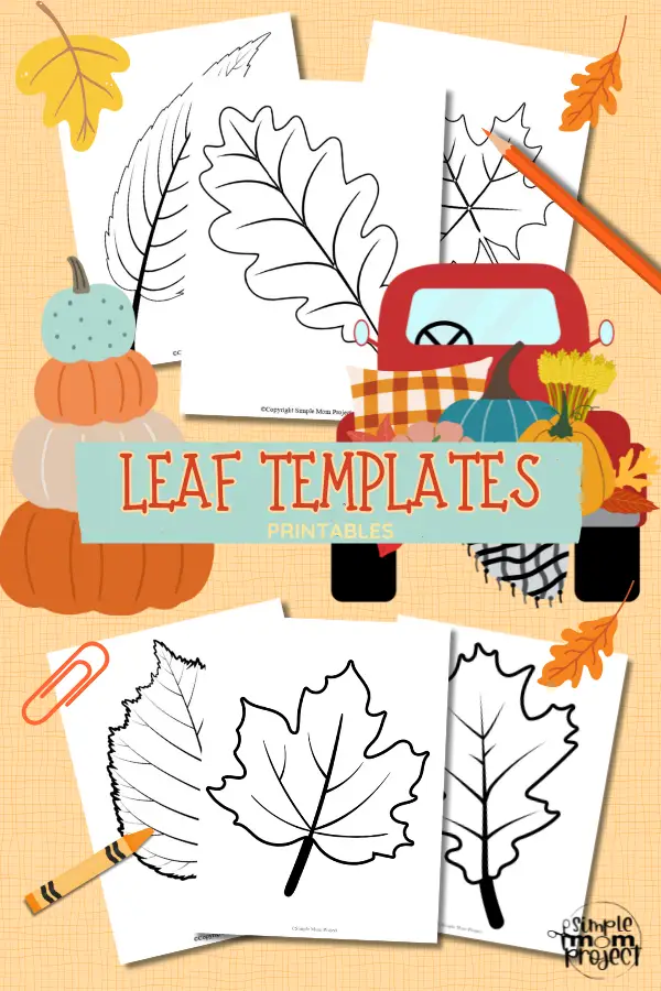 Looking for an autumn leaf craft idea? Use these free large printable leaf cutout templates so spark your creativity! These fall leaf stencils make a perfect easy coloring page for preschoolers or have your kindergartner paint them as fall decorations! From maple leaf to classic printable leaf templates, there's a fall leaf printable cut out for you!