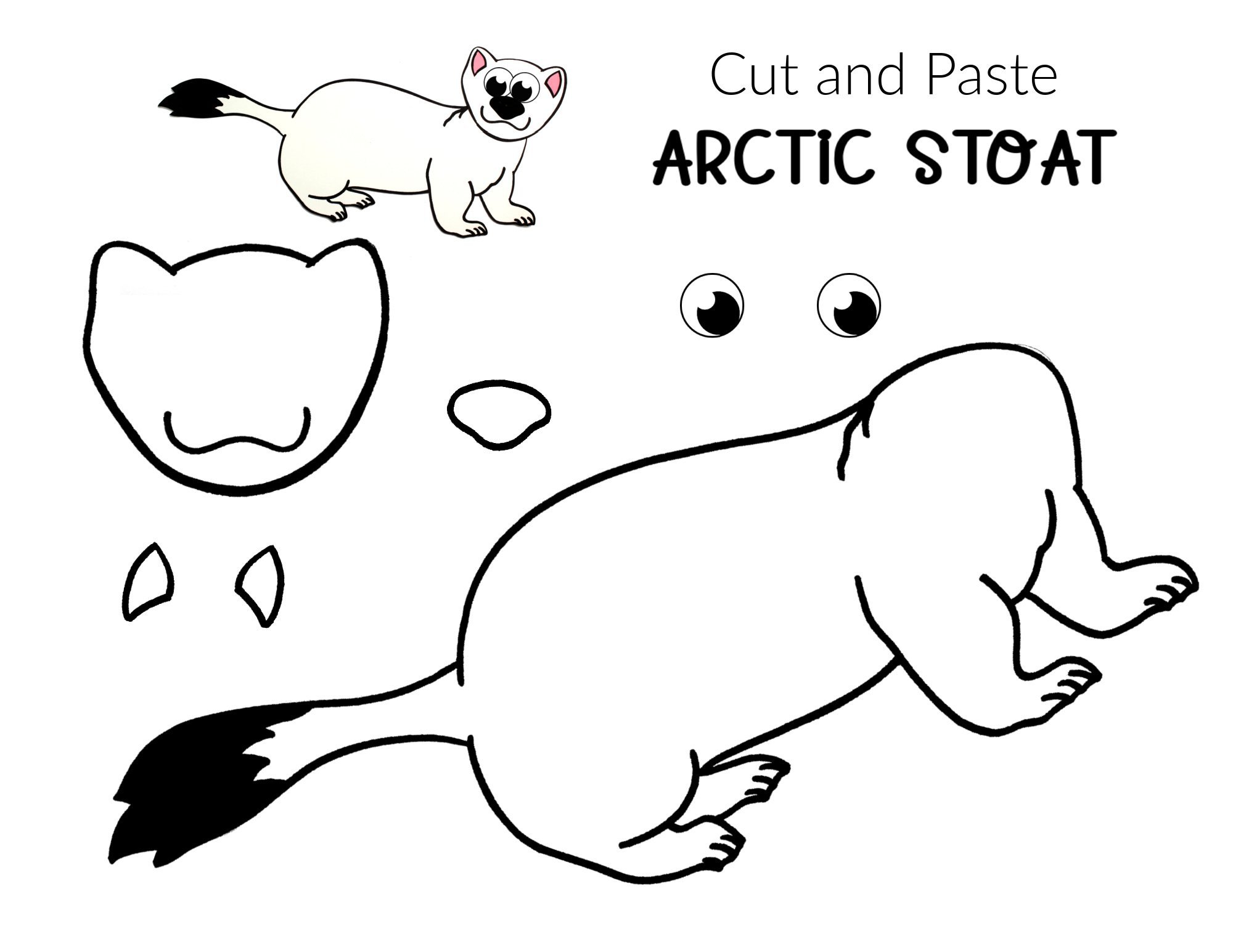 Free Printable Arctic Animal Stoat Craft for Kids Preschoolers and Toddlers 