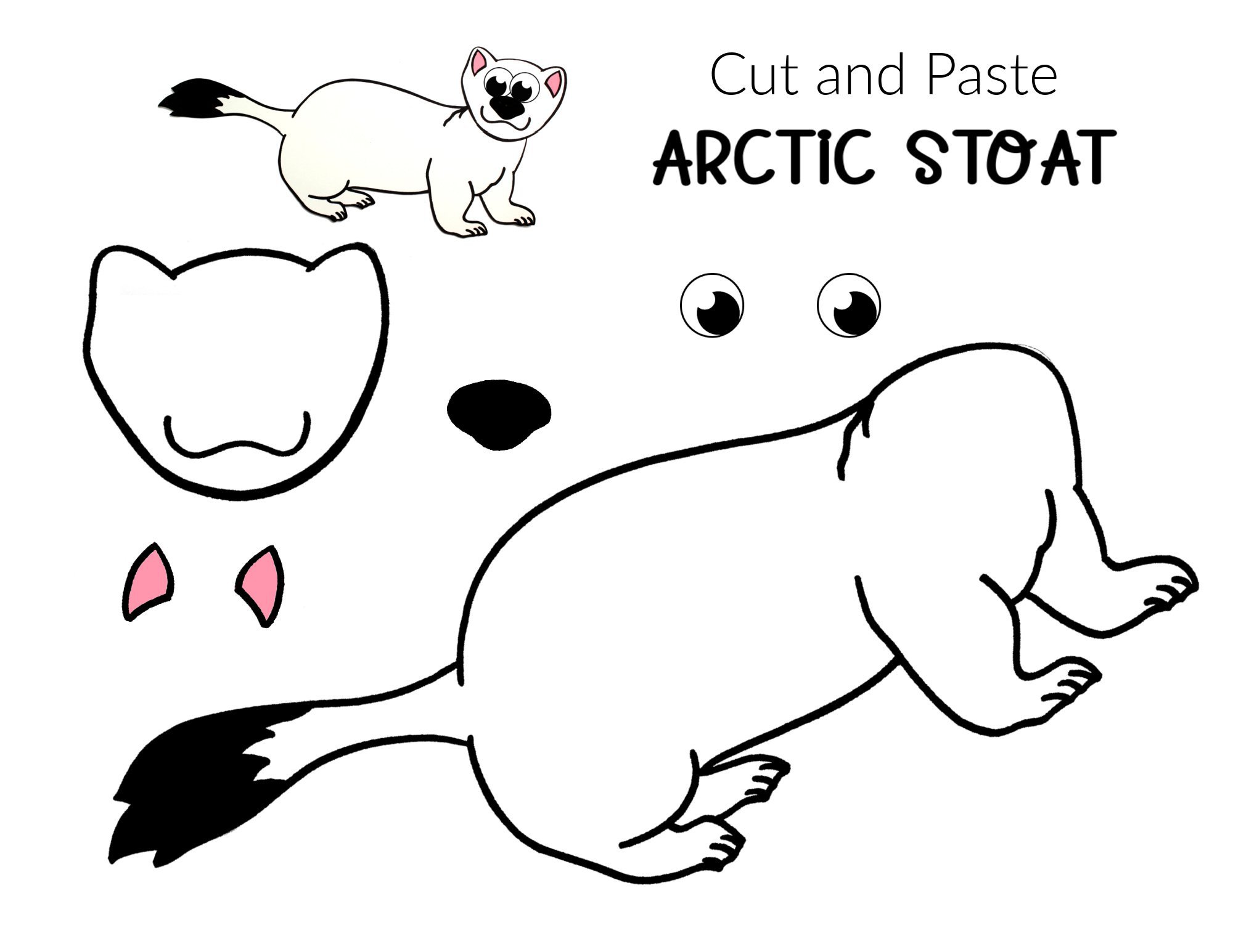 Free Printable Arctic Animal Stoat Craft for Kids Preschoolers and Toddlers 