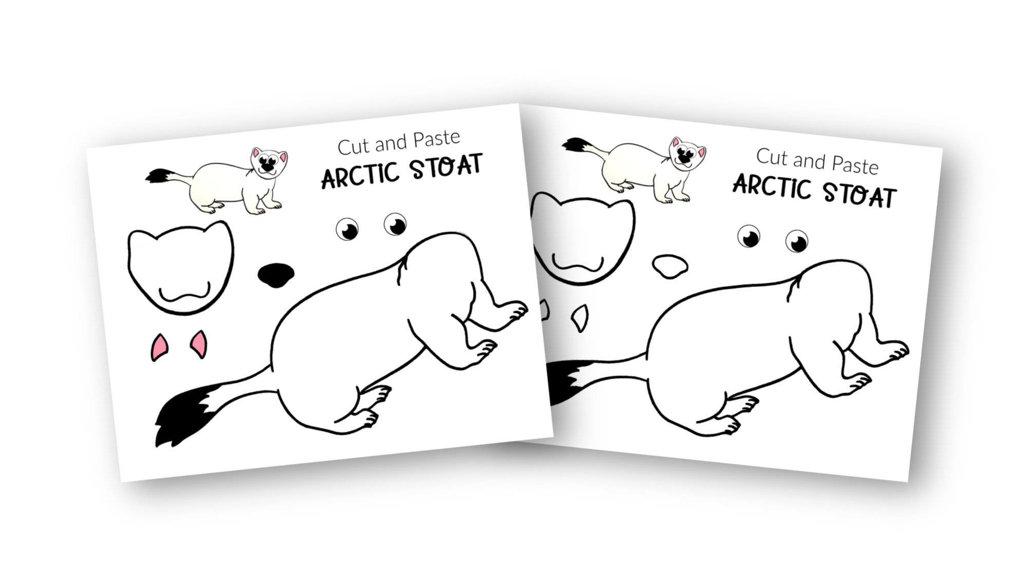 Free Printable Arctic Animal Stoat Craft for Kids Preschoolers and Toddlers 