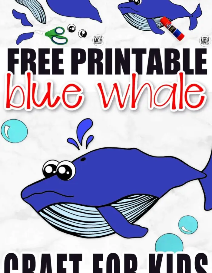 Looking for a fun summer craft or maybe a greeting card? Click now to print the free blue whale template and make this adorable blue whale craft. He is also the perfect whale to teach the about ocean animals! This blue whale is perfect for kids of all ages, including preschoolers and toddlers! #BlueWhaleCrafts #WhaleCrafts #OceanAnimalCrafts #OceanAnimals #SimpleMomProject