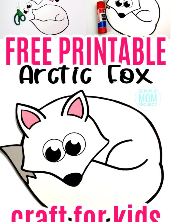 Looking for a fun winter arctic animal