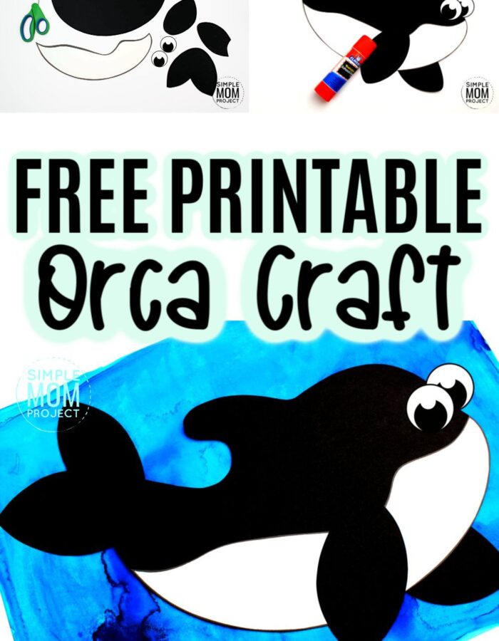 Are you looking for an easy paper art project your preschooler, toddler or kindergartner can do this summer? Use our free printable orca template to make this arctic whale! This fun orca craft is great for letter recognition or an adorable Valentine gift. Your kids will have a killer time making him! #orca #orcacrafts #arcticcrafts #arcticanimalcrafts #SimpleMomProject
