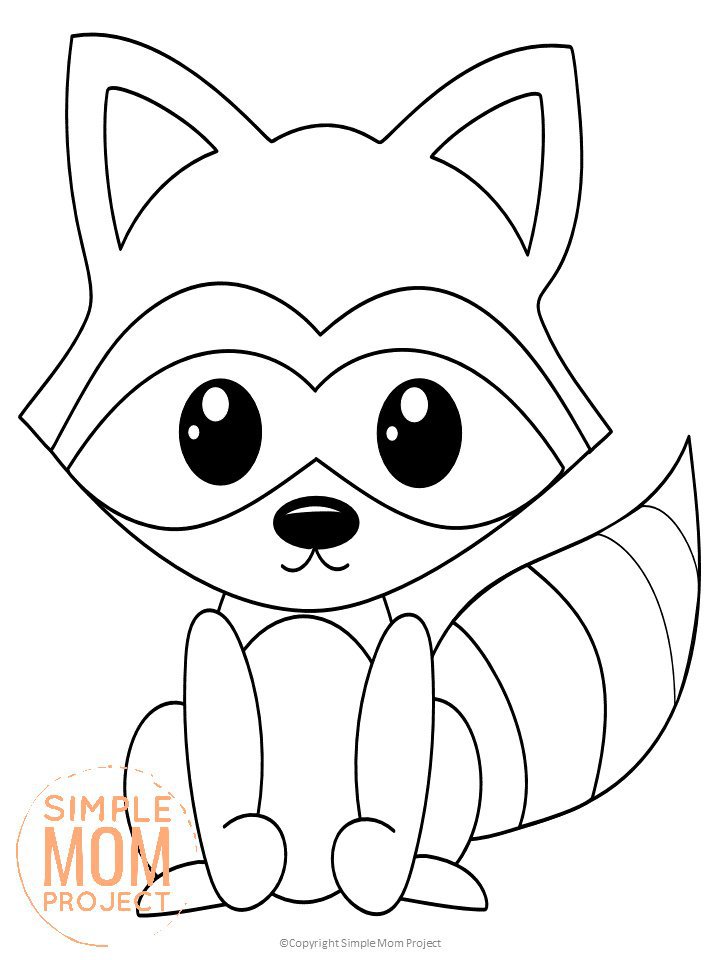 coloring pages raccoon