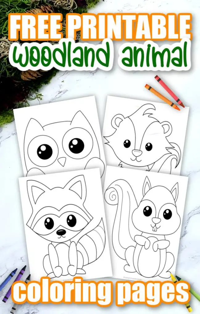 Add some sparkle to your forest themed crafts with these cute and free printable woodland animal coloring pages. From skunks to deers, hedgehogs and more, these simple coloring pages are great activities, ideal for preschoolers or kindergartners as a fun way to learn about the beautiful creatures of the forest. Click here to grab your free printable Woodland Animal Coloring pages today! #WoodlandAnimalcrafts #WoodlandAnimalColoringpages #Forestthemecraftsforkids #Forestanimalcoloringpages #SimpleMomProject