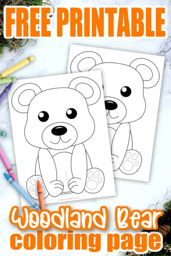 Free Printable Woodland Forest Bear Coloring Page for Kids Preschoolers Toddlers and kindergartners