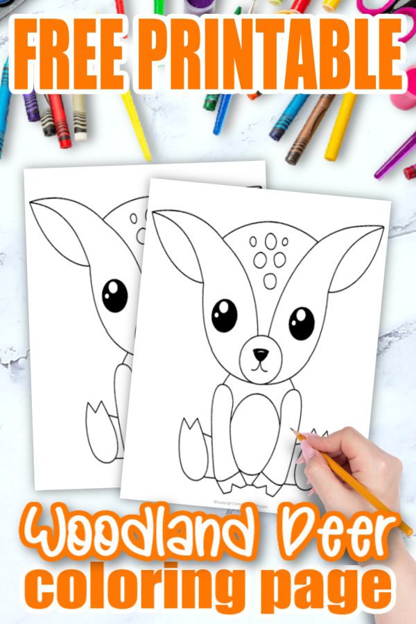 Free Printable Woodland Forest Deer Coloring Page for Kids Preschoolers Toddlers and kindergartners