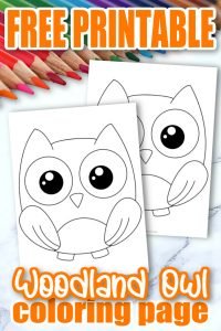 Free Printable Woodland Owl Template - Simple Mom Project