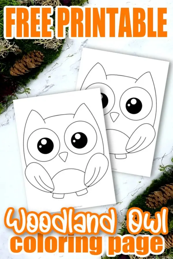 Looking to add a cute forest owl coloring page to your kids forest themed crafts? This free printable baby owl template makes an ideal addition to any toddlers forest animal coloring book or even as a fun art project for kindergartners. Simply, click here and grab your adorable owl coloring page, then start adding your favorite colors! #Owlcoloringpages #Forestanimalcoloringpages #ForestOwlColoringpages #Papercraftsforkids #SimpleMomProject