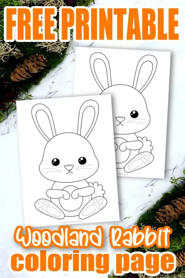Free Printable Woodland Forest Rabbit Coloring Page for Kids Preschoolers Toddlers and kindergartners