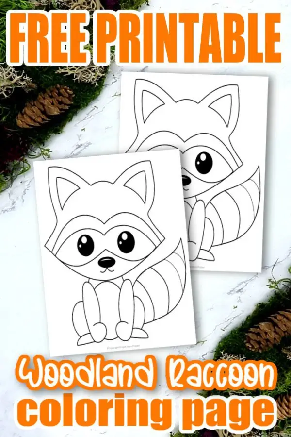 Join in the fun of forest animal coloring sheets with this super easy and free printable raccoon coloring page. This cute little woodland animal makes an adorable addition to your kids coloring book or even as an art project for preschool or kindergarten. Click here to get your free raccoon printable and watch your kids create their own Chester the Raccoon designs. #Raccooncoloringpages #Forestanimalcoloringpages #Forestanimals #Coloringpagesforkids #SimpleMomProject