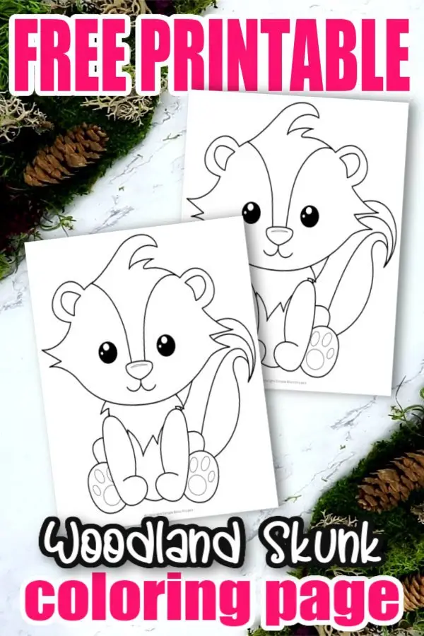 Are you looking for a cute & simple forest skunk coloring page for your kids? Click now and grab your Free Printable template of this realistic striped-tail Skunk. He makes a colorful decoration for your kids bedroom or even a fun group art activity for preschoolers or toddlers. Enjoy the fun of forest crafts in your home today with the cutest of all woodland forest animals - a baby skunk! #Skunkcrafts #Skunkcoloringpages #Woodlandanimalcoloringpages #Forestanimalcoloringpages #SimpleMomProject