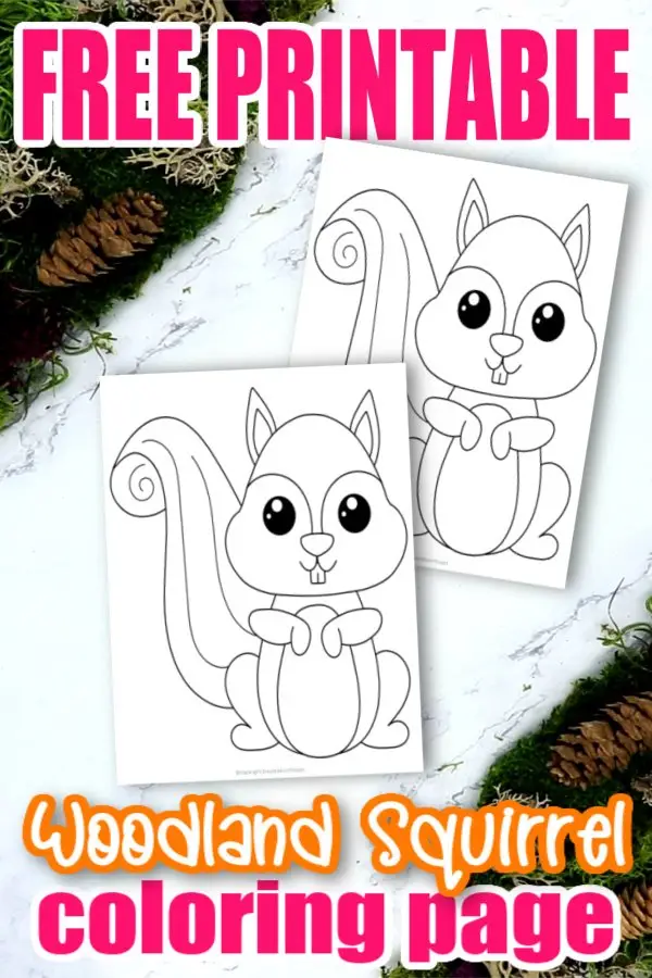 Are you looking for a free and easy squirrel coloring page for your kids? Bring the enchanted forest into your home with this cute baby squirrel coloring page designed especially for your kids. With a simple color and cut out template, this squirrel will be a hit with all your kids from preschoolers to toddlers and even big kids. Click here & add a colorful flying squirrel to your kids forest crafts today! #Squirrelcoloringpages #Forestanimalcoloringpages #Coloringpagesforkids #SimpleMomProject