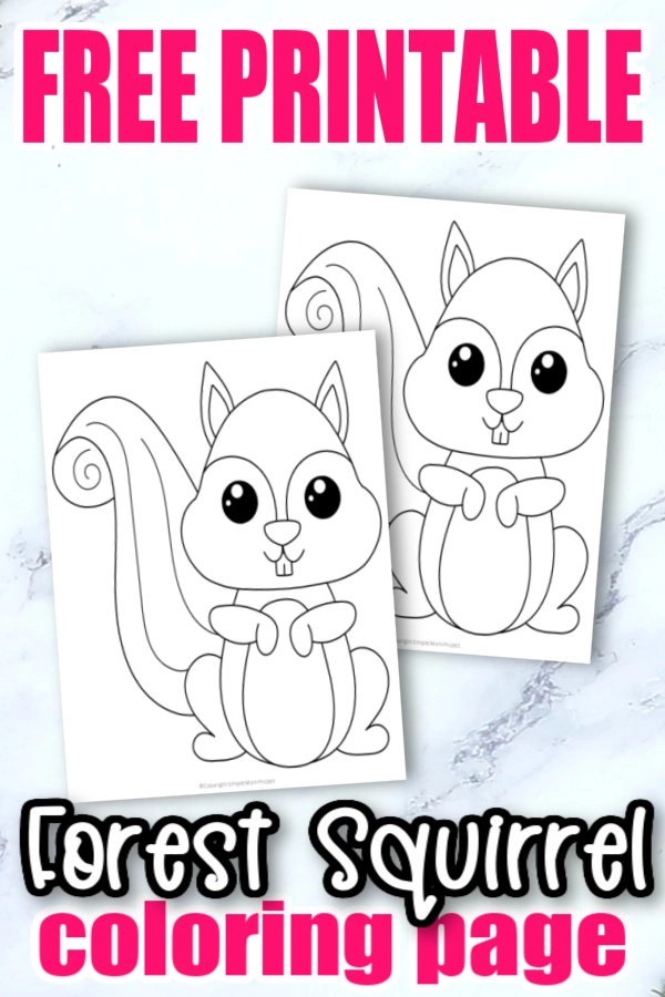 Woodland Animals Coloring Books for Ages 3 5 