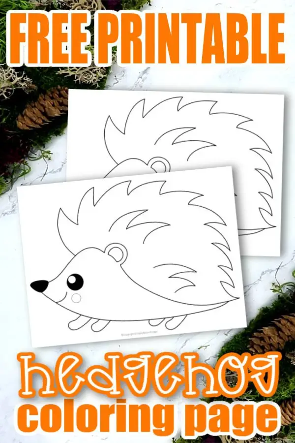 Free Printable Woodland Forest hedgehog Coloring Page for Kids Preschoolers Toddlers and kindergartners
