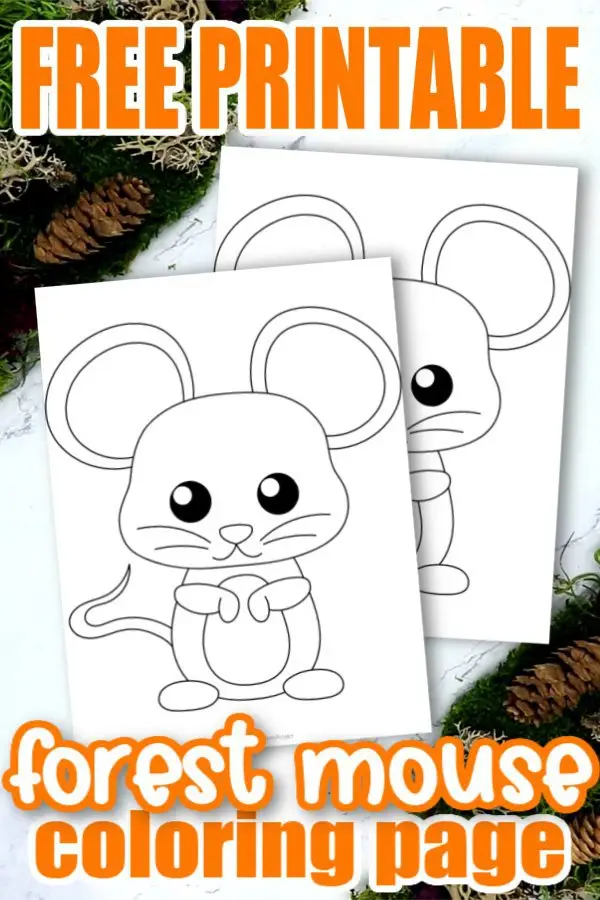 Are you looking for an easy forest themed preschool coloring print out for your kids? Our cute and free printable forest mouse coloring page is an ideal addition to your kids forest craft activities or their woodland animal coloring book. Preschoolers and toddlers love fun art projects so this would be a winner at preschool for sure. Click here to grab your baby forest mouse coloring page today! #Mousecoloringpage #Babymousecoloringpages #forestanimalcoloringpages #forestanimals #SimpleMomProject