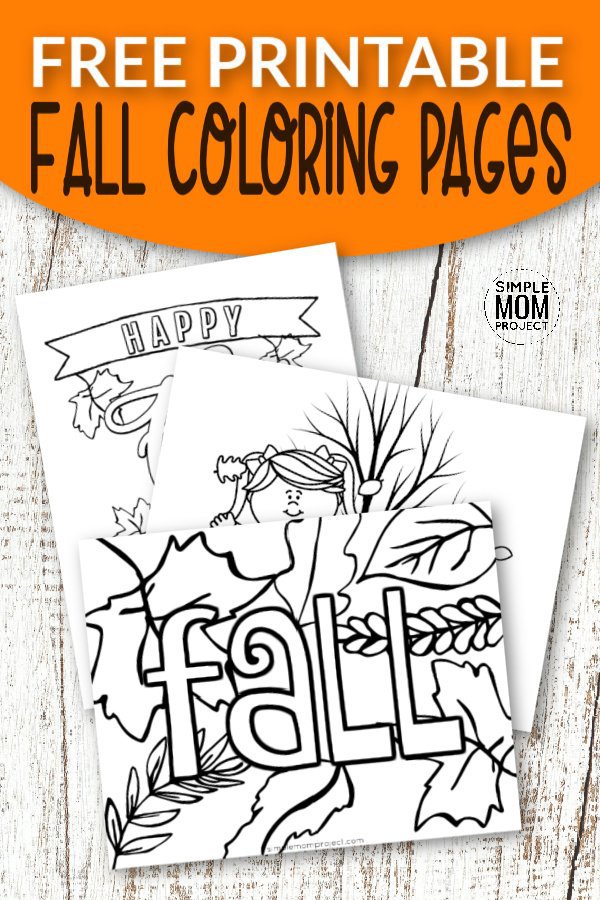 Coloring Pages Toddler Preschool / Ebook Abc See Hear Do 2 3 And 4