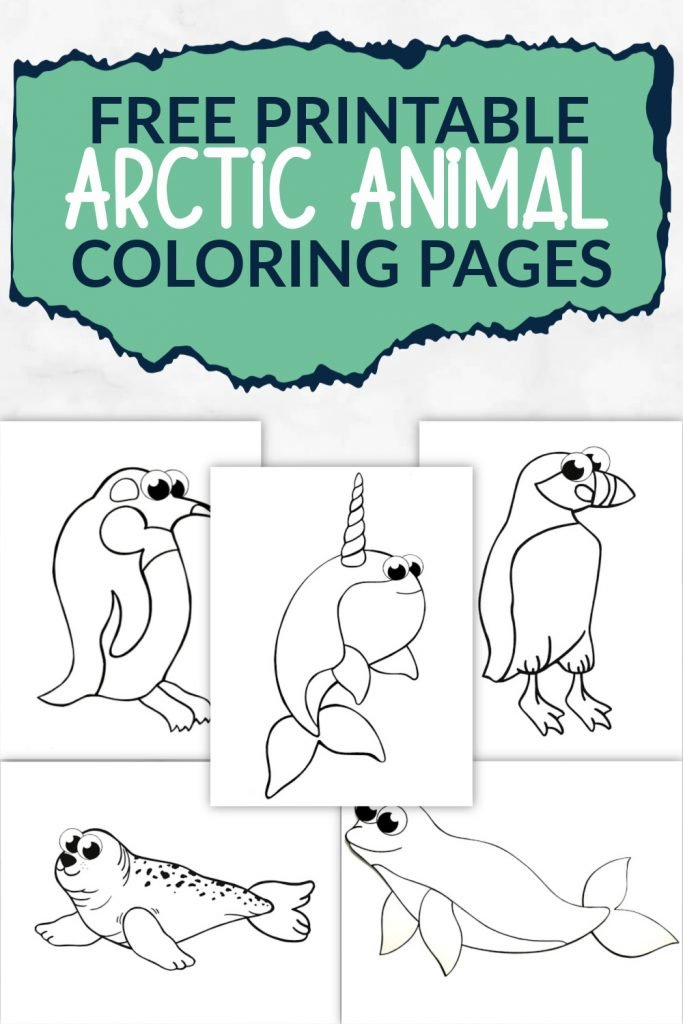 kids coloring pages animals