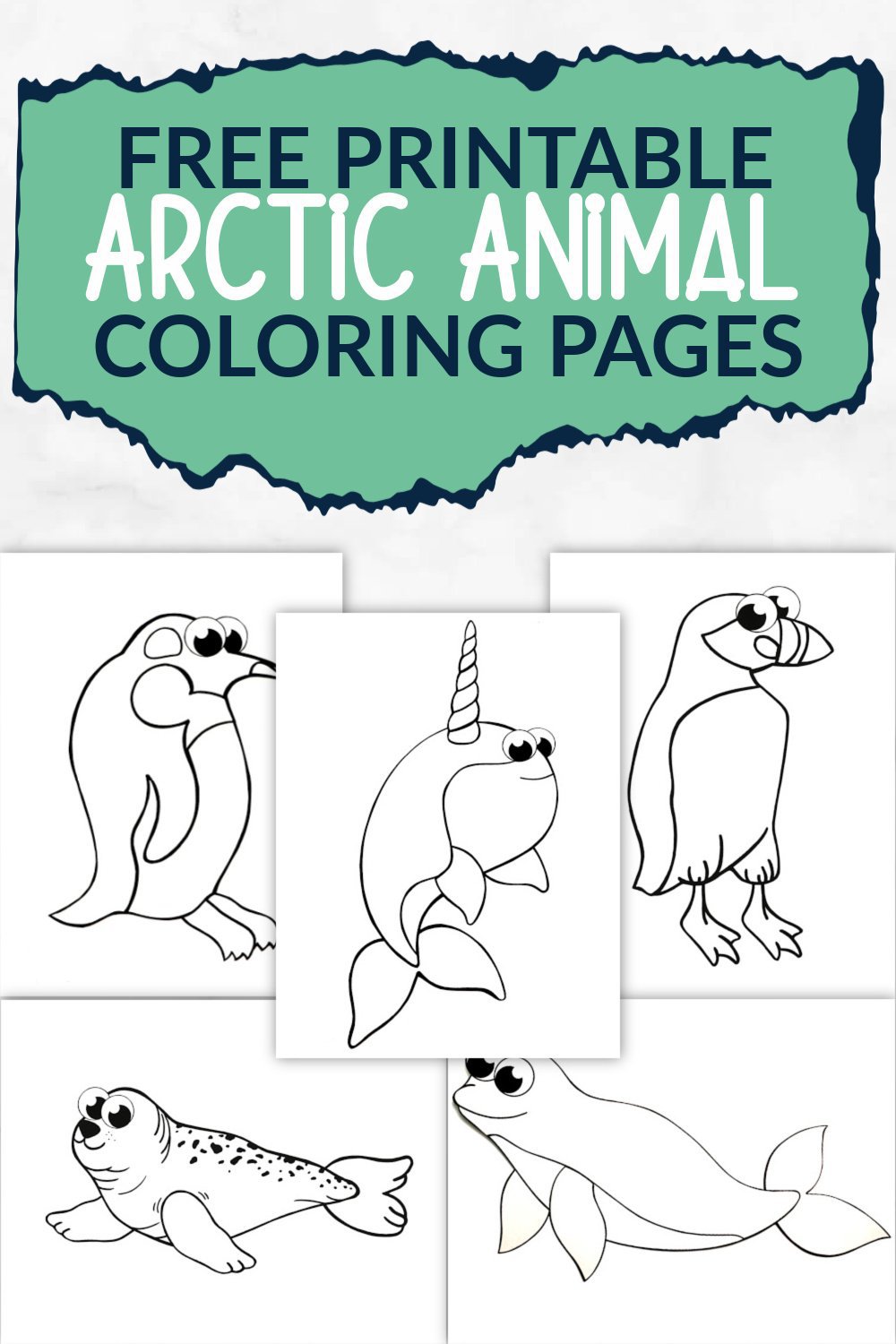 11-top-arctic-animal-coloring