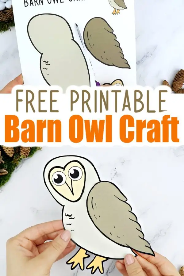 Here’s a super easy cut & paste Barn Owl craft for your toddlers, preschoolers or kindergartners to create. With a simple & free printable Barn Owl template, this paper craft is a fun way to learn the Letter O or decorate your wall with wise old Owls. Our Barn Owl crafts are ideal for toddlers, preschoolers & kindergartners as simple art projects or decorative cards for special friends. Get your free printable Barn Owl craft today! #barnowl #barnowlprintable