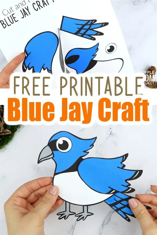 Here’s a cute & free printable Blue Jay Craft for your kids. As one of the most beautiful birds in the garden, this Blue Jay craft makes a simple cut & paste art project for toddlers, preschoolers or kindergartners. Want to add some fun to homeschooling? This diy, paper Blue Jay craft is a colorful way for your kids to learn the letter J, while showing you how to make a gorgeous Blue Jay! Grab your fun & free printable Blue Jay craft today! #Bluejaycrafts #BlueJayprintable