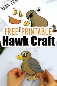 Free Printable Hawk Template - Simple Mom Project