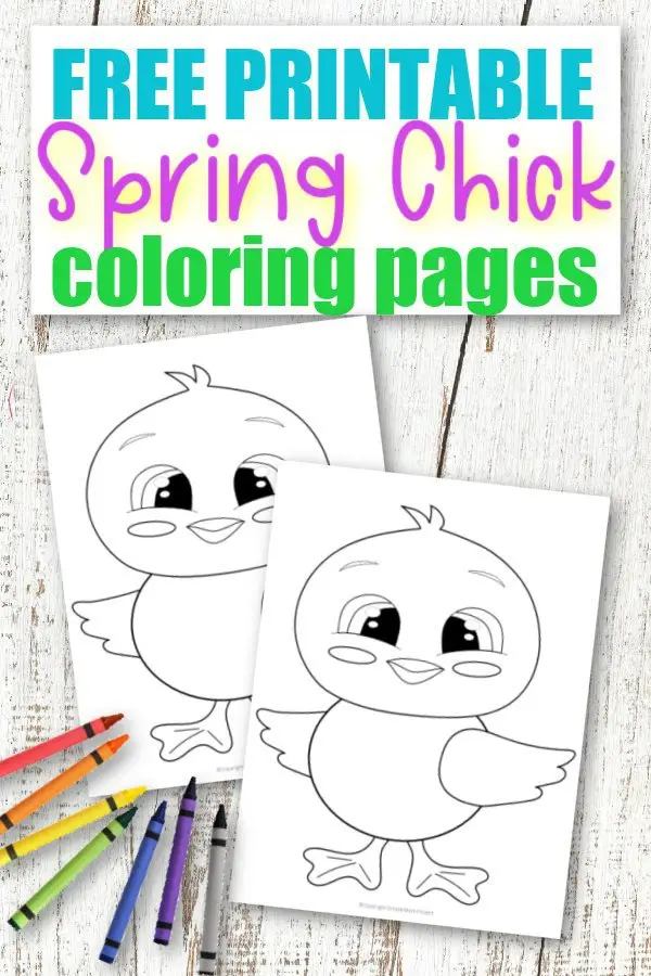 These cute and free printable spring chick coloring pages are great for kids of all ages; including preschoolers, toddlers and big kids - adults! Use them in your family worship or have fun coloring him on a rainy spring day! #BabyChickColoringSheet #SimpleMomProject