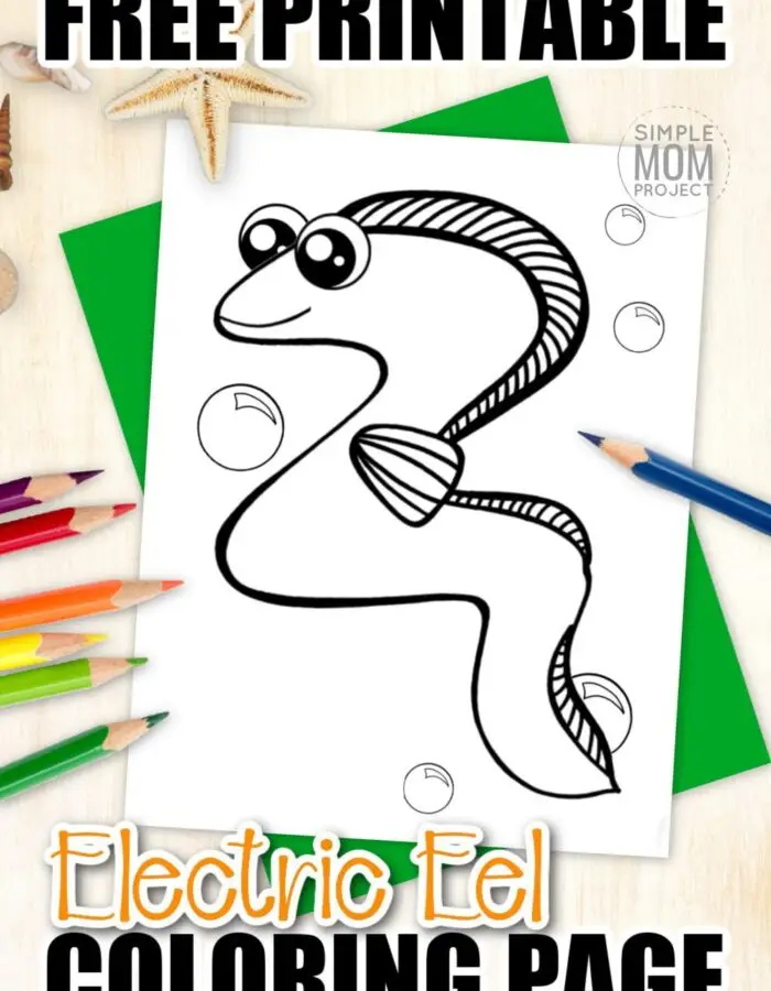 Electric Eel Fish are just another way to teach about the letter E. Why not add this adorable eel coloring page to your sea animal alphabet collection. Draw or sketch your favorite electric designs on him or just simply color him green. As a friend to the moray, guler and wolf eel, this fun eel coloring sheet is the perfect art project for kids of all ages! #eelcoloringpages #electriceelcoloringpage #SimpleMomProject