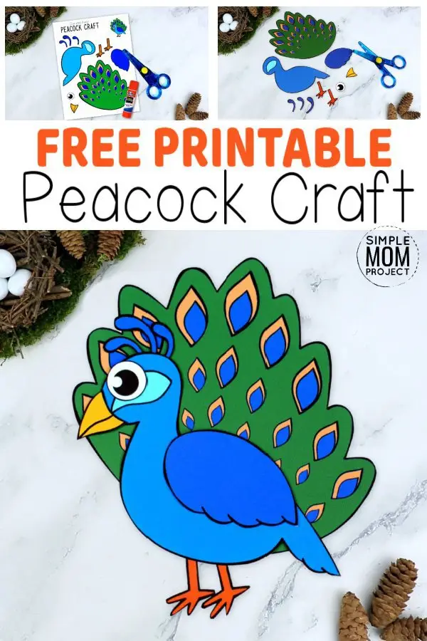 Welcome to the exciting & colorful world of Peacock crafts! Here’s our fun & free printable Peacock craft for your kids to enjoy. Whether as a winter craft activity or an art project for homeschool, your toddlers, preschoolers & kindergartners will love the color this Peacock craft creates. Add this cute diy Peacock craft to your kids bird craft collection today by printing your free Peacock templates! #Peacockcrafts #Peacockprintabletemplates