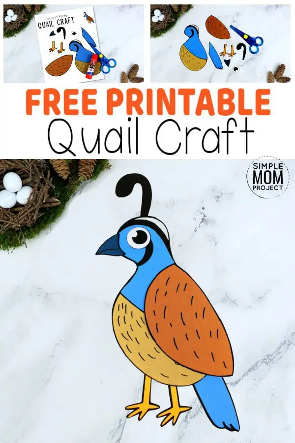 How about this cut & paste Quail craft for a fun way for your kids to learn the letter Q! With free printable templates, this Quail craft makes an ideal homeschool or Sunday school craft activity or an art project for toddlers, preschoolers or kindergartners! With winter just around the corner, it’s an ideal time to grab your free cut & paste Quail craft templates & watch as your kids create beautiful paper bird crafts for your home. This is also a great way to teach about the book of Exodus, manna and Moses! #Quailcraftsforkids #PaperQuailcrafts