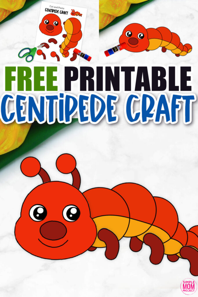 Click now for a simple way to teach the letter C in the alphabet, click now to download and print this easy centipede craft today! This insect craft is an easy preschool, kindergarten or toddler printable centipede craft! Options for this centipede craft are endless!