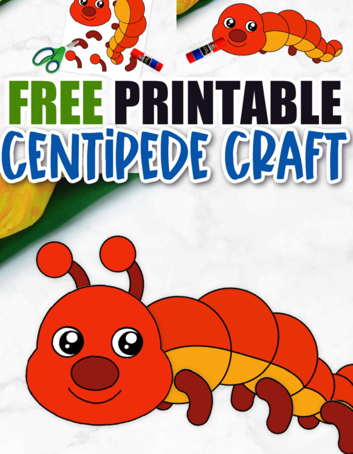 Click now for a simple way to teach the letter C in the alphabet, click now to download and print this easy centipede craft today! This insect craft is an easy preschool, kindergarten or toddler printable centipede craft! Options for this centipede craft are endless!