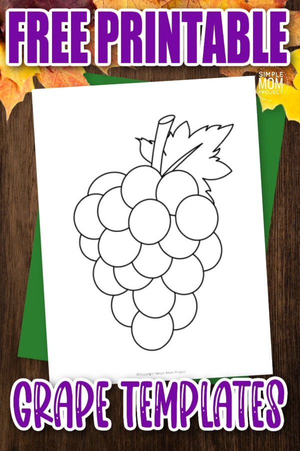 HOW TO DRAW GRAPES FOR KIDS AND COLOR WITH CRAYONS - YouTube | Grape drawing,  Drawing for kids, Easy drawings for kids