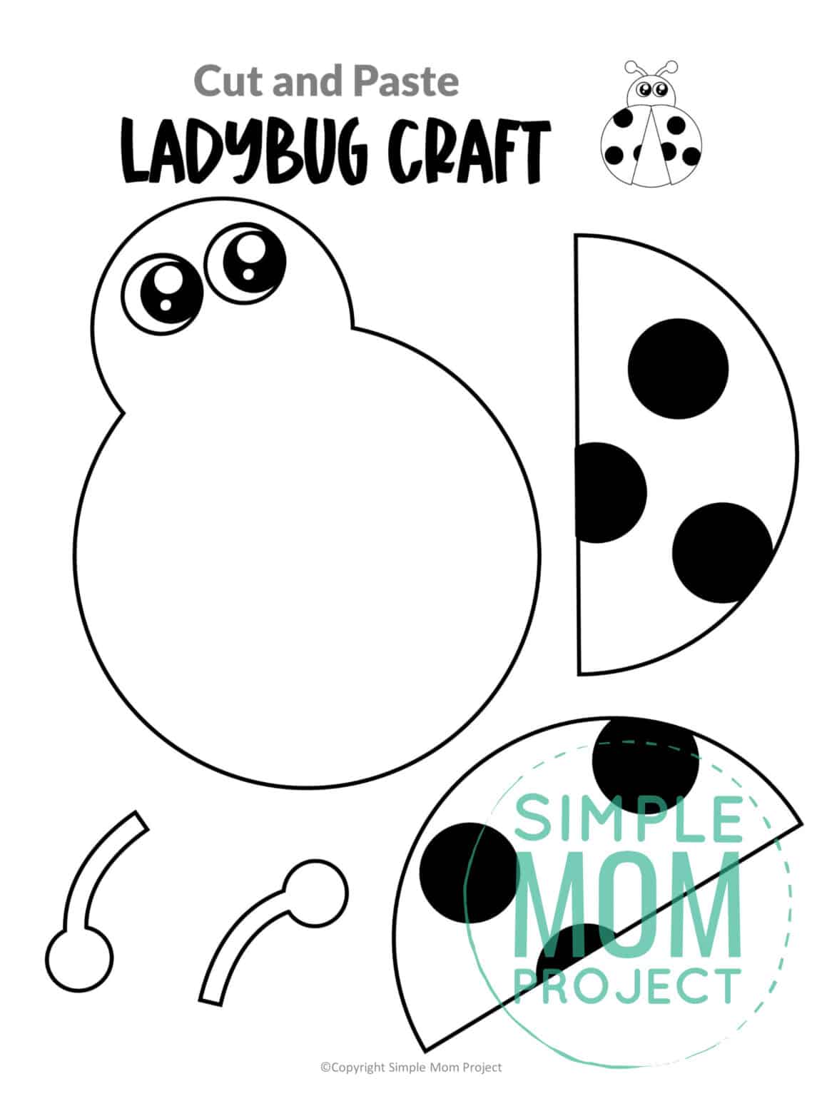 Printable Ladybug Pictures Printable Ladybug Pictures